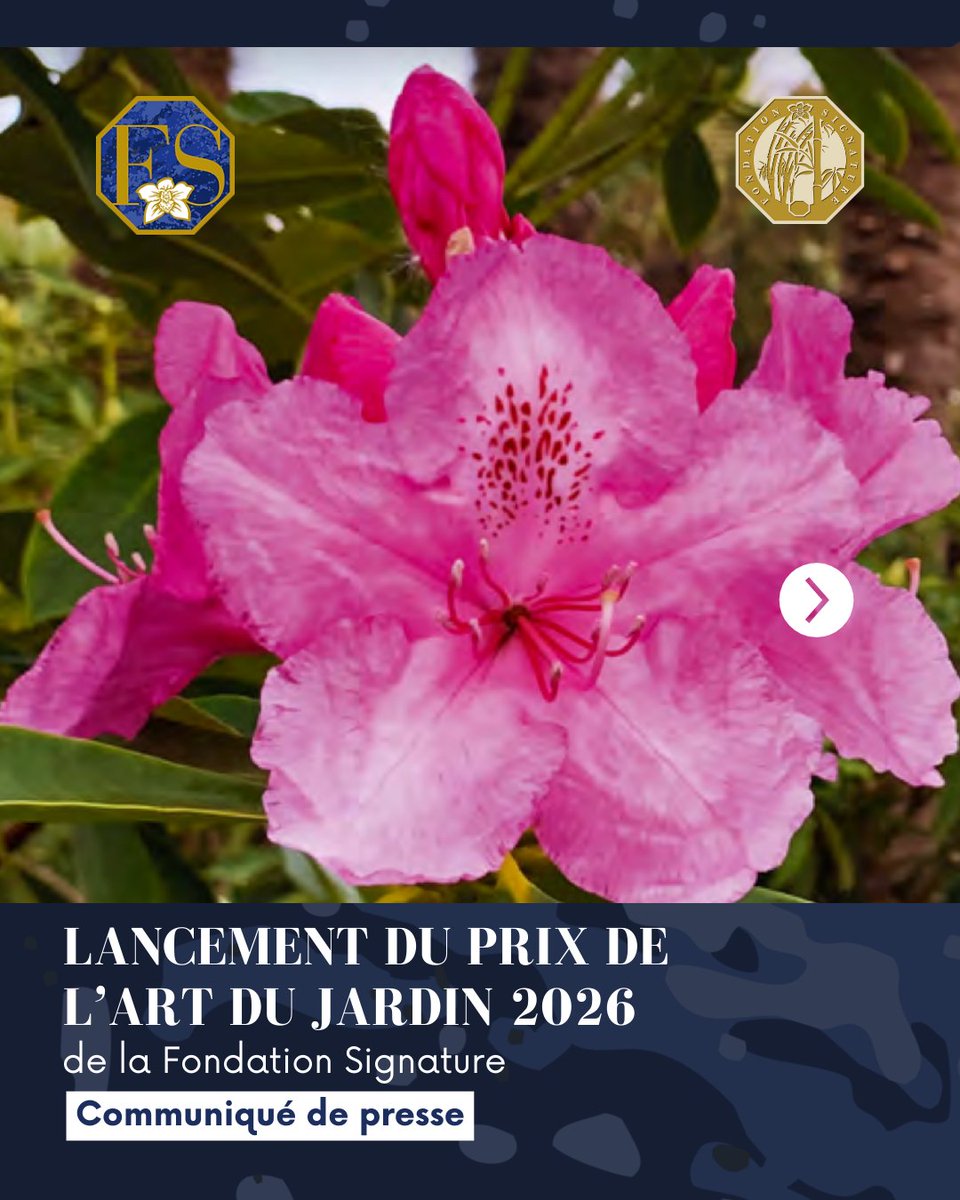 Fondation Signature tweet media