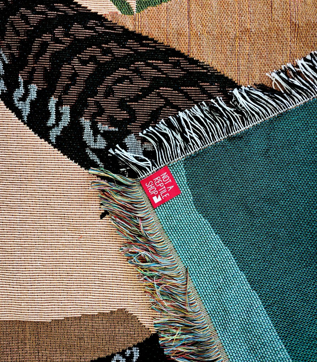 Blue-tongued Skink🦎🍂🛋️🪡