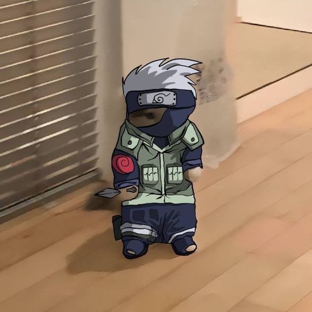 michi (@michionsolana) on Twitter photo 