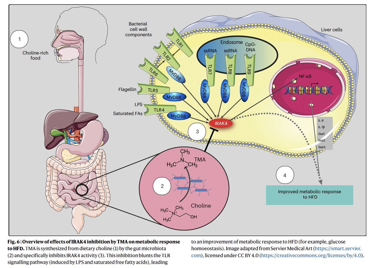 Eric Topol tweet media