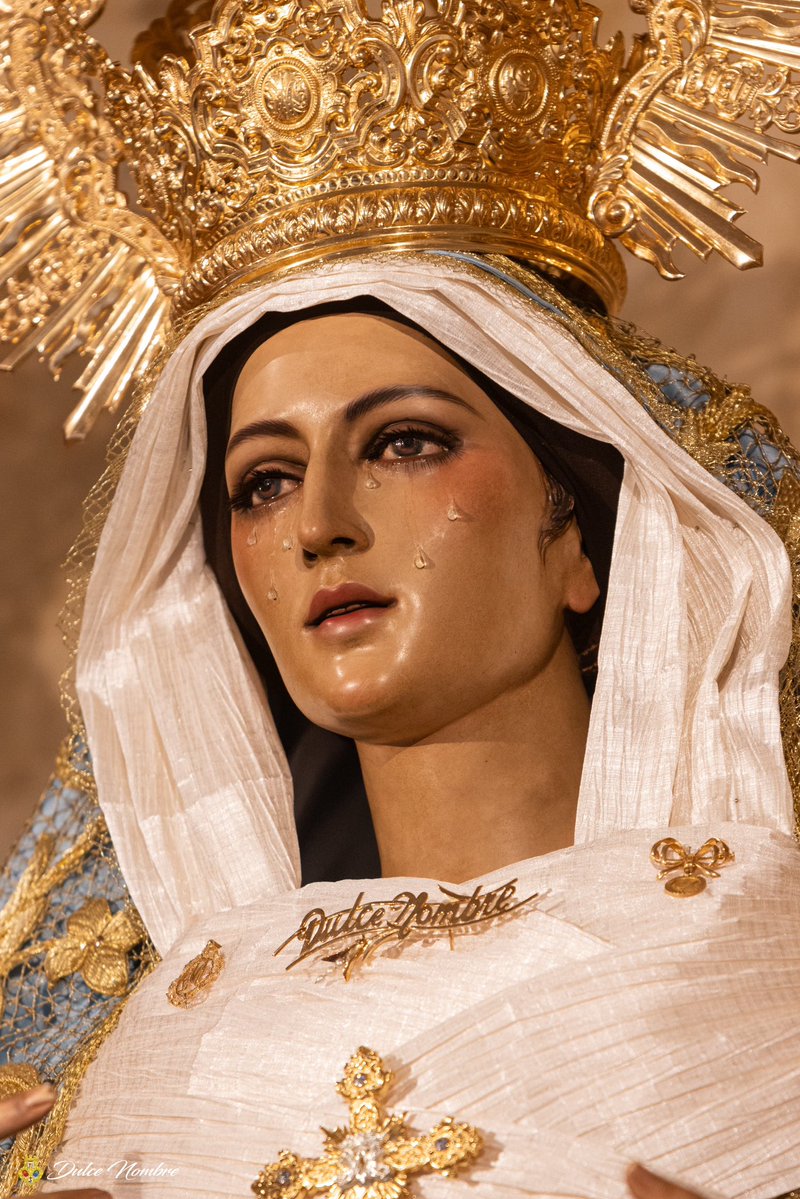 Solemnidad de la Inmaculada Concepción 

Aurora virginal, celeste Aurora
de tiernas rosas y de luz vestida,
Arca del Sol, Cancel de nuestra vida,
¡apresura, adelanta, que es tu hora!

📸 <a href="/DaniAstorgaPH/">Dani Astorga Fotografía</a> 

#CofradíasMLG