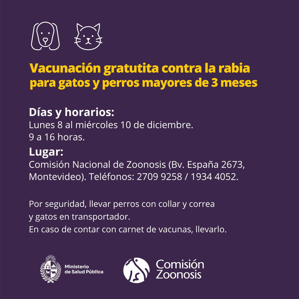 Ante la confirmación de diagnóstico de un murciélago positivo al virus rábico, hallado en las inmediaciones de la Comisión Nacional de Zoonosis (Bv. España 2673, Mdeo.), se lleva adelante de lunes a miércoles una jornada de vacunación gratuita contra la rabia para perros y gatos.