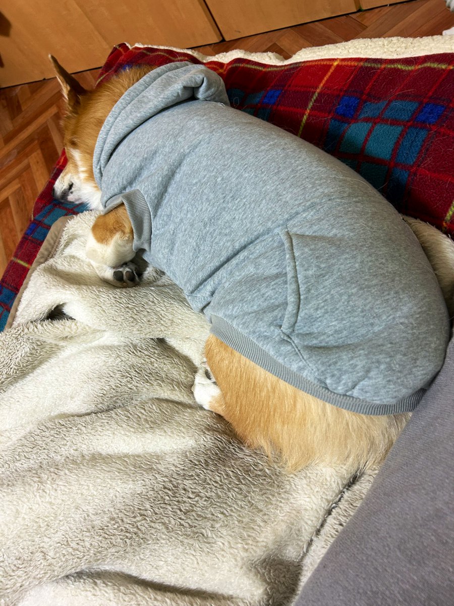 よしやっと寝たのでちょっと編み物するかな