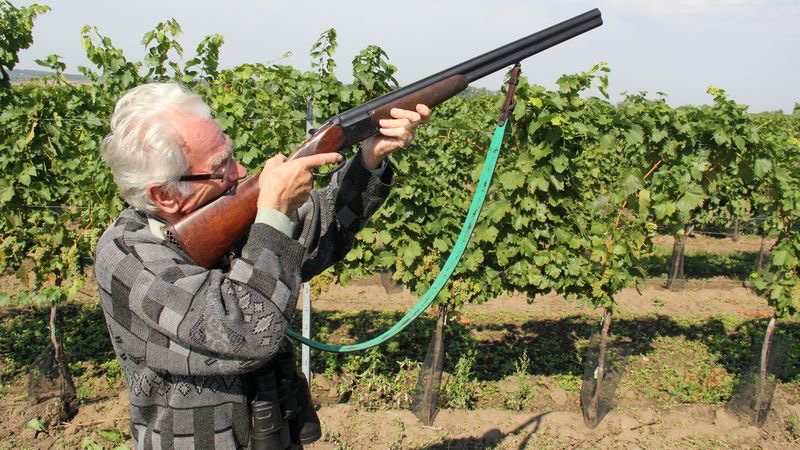 EthosGeorg74729's tweet image. Efektivní ničení dronů, je povinná střelba cvičných špačků, brokovnicí v Armádě.