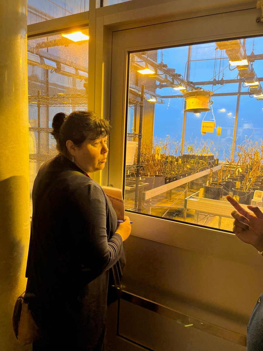 Canadian Grapevine Certification Network tweet media