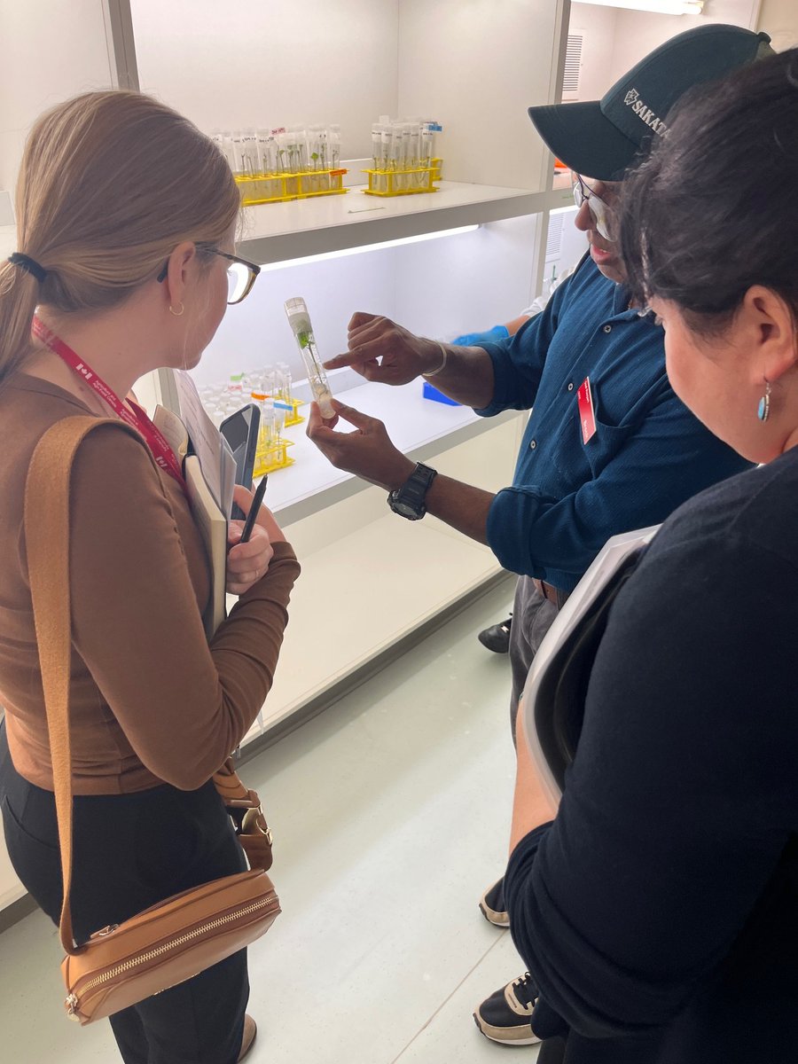 Canadian Grapevine Certification Network tweet media