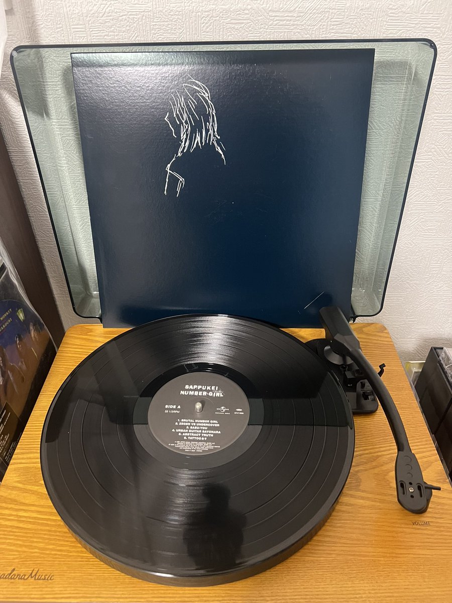 1日1作品レコード紹介 2日目🍀 NUMBER GIRL 「SAPPUKEI」 自身が憧れた