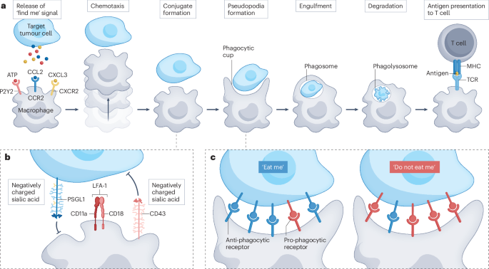 Nature Reviews Cancer tweet media