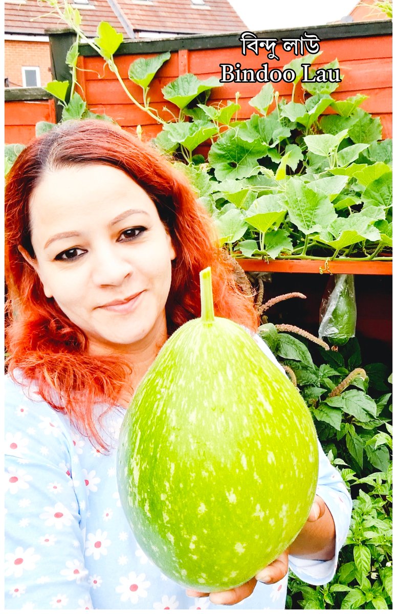 LabonyKitchen's tweet image. ২০২৬ সালে ইউকে তে দেশী শাক সব্জি লাগানোর জন্যে আপনার আকাঙ্ক্ষিত বীজ সমূহ রেডি হয়ে গিয়েছে। আজই অর্ডার দিতে পারবেন আমার ওয়েবসাইট হতেঃ labonykitchen.co.uk/product-catego…
প্রতিদিন আমি নতুন নতুন বীজ যোগ করছি তাই দেরী না করে শেষ হওয়ার আগেই নিয়ে নিন।