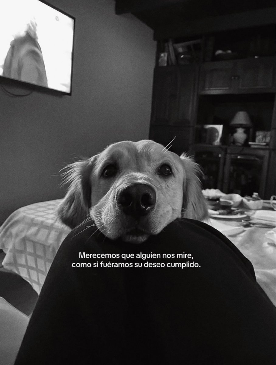 escritosrame's tweet image. 