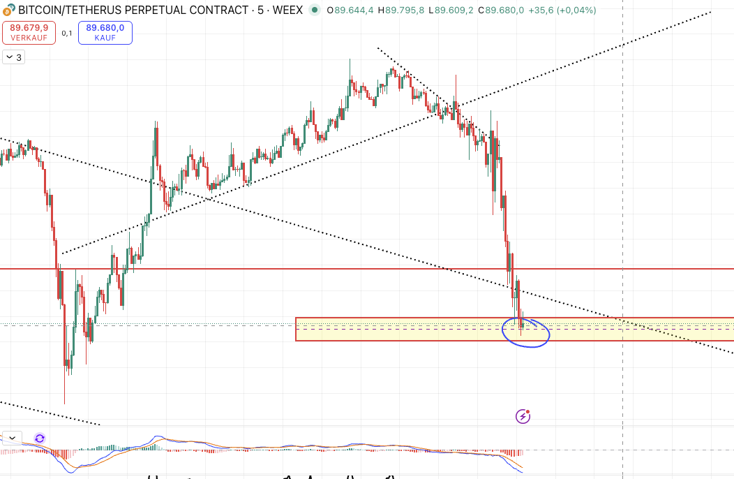 Daniel Schollerer tweet media
