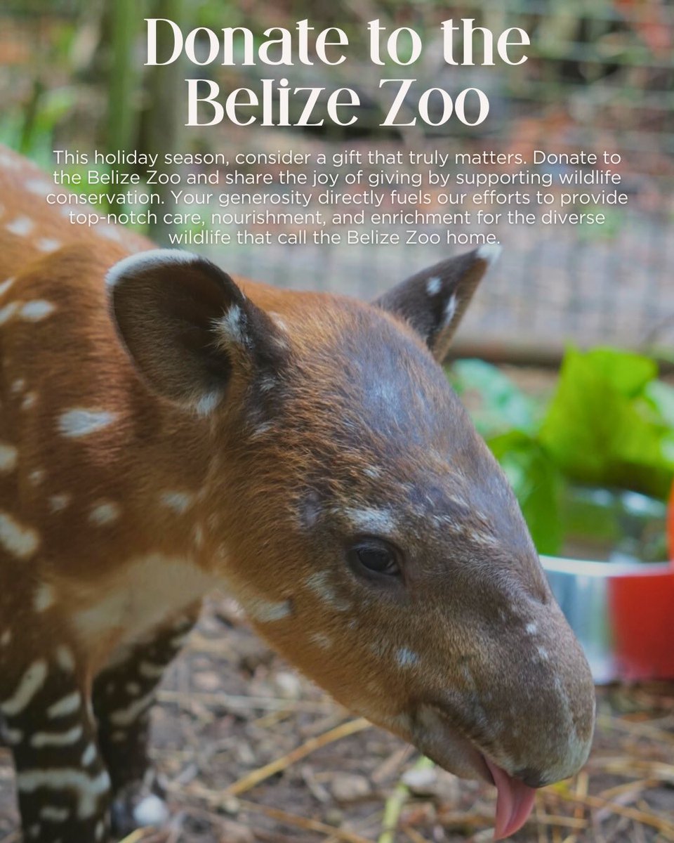 The Belize Zoo and Tropical Education Center tweet media