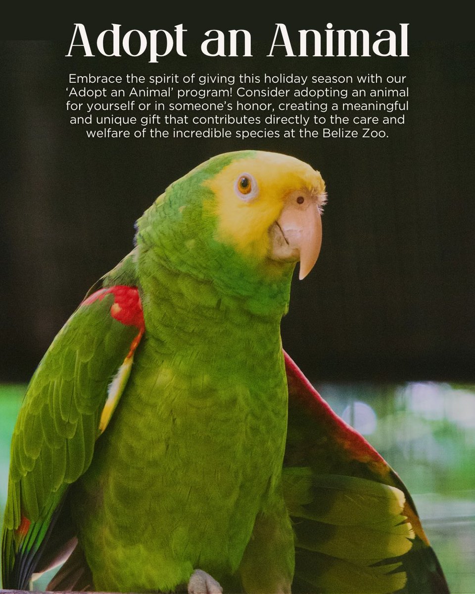 The Belize Zoo and Tropical Education Center tweet media
