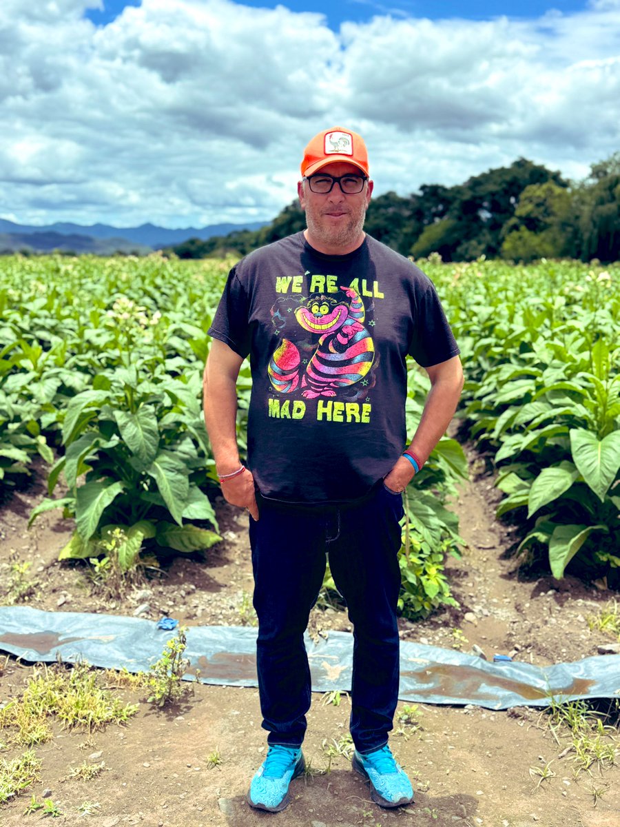 Sergio Parra tweet media