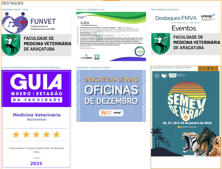 unespfmva's tweet image. No site de nossa Faculdade, confira a seção de "DESTAQUES": fmva.unesp.br
Essa seção está logo abaixo do carrossel de notícias na página inicial do site da FMVA!

#fmva35anos #UnespFMVA #fmvaunesp #fmva #fmv #araçatuba #aracatuba #aracatubaeregiao