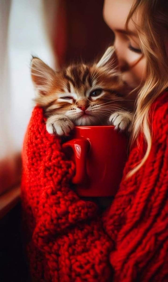 Lunar.ft tweet media