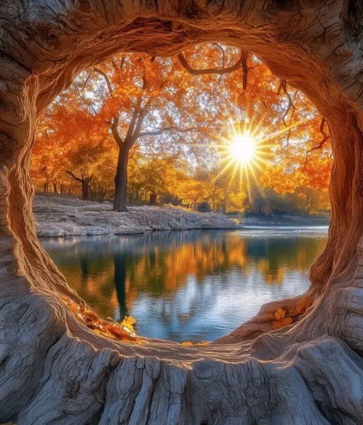 If you have the power to make someone happy, do it. The world needs more of that.
#NaturePhotography