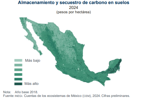 SantaellaJulio's tweet photo. El carbono en suelos tuvo la mayor aportación a los servicios de almacenamiento y secuestro de carbono: 79.2% del total; en la península de Yucatán se tiene un mayor valor por hectárea del secuestro y almacenamiento de carbono en suelo, mientras que en la península de Baja California la aportación por hectárea fue menor.
4/4