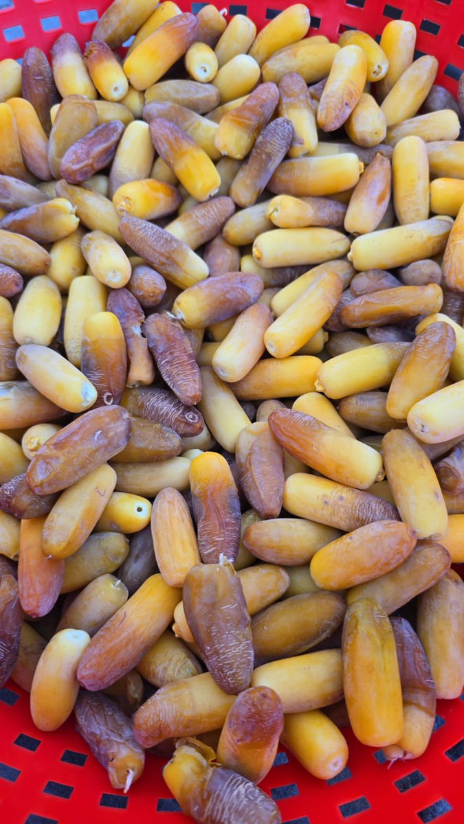 وَبـي شوّقٌ إليْكَ أعلَّ قلبـي
ومالـي من غيرَ قُربِك طبيبِ
أغارُ عليكَ من خَلَواتِ غيري
كما غار المُحِبُ على الحبيبِ
وما أحظى إذا ماغِبتَ عني
بِحسن الزمان ولا بطيبِ
أشتاقُ إذا ذكرتُكَ من بعيدٍ
وأطرب إن لقيتُك من قريبِ