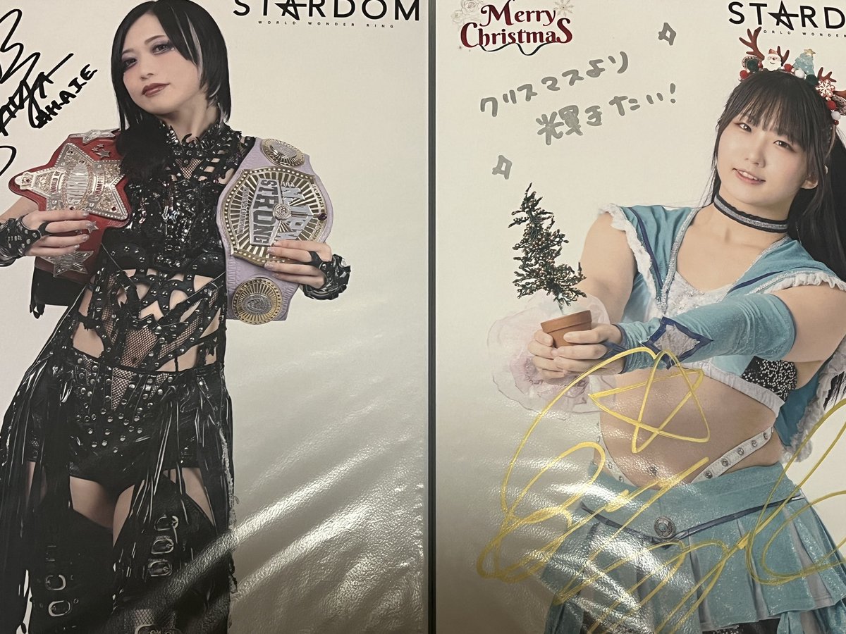 💫今年4回目のSTARDOM。現地だと解説実況ないんだけどライブで観ていると解説不要な説得力があるんよね。テレビで見ているより何倍も楽しい ...