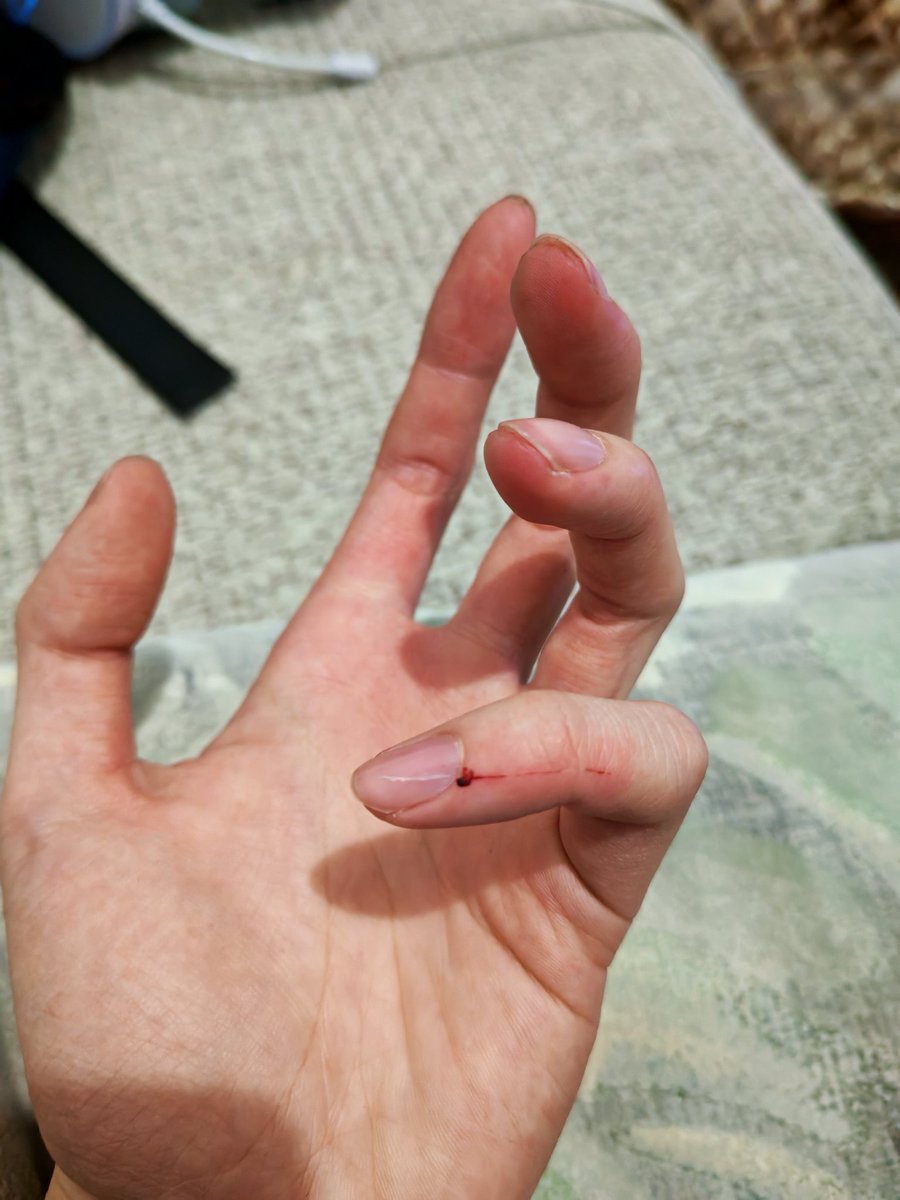 咩噗咩喵猫猫猫 tweet media