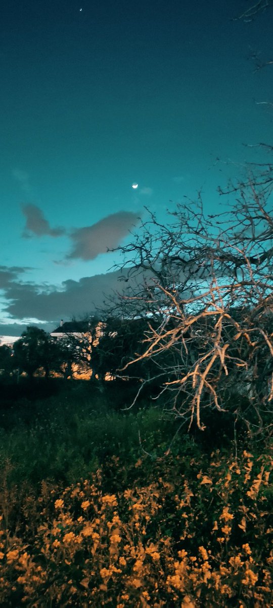 Be_kindtopeople's tweet image. Searching for the light
Αθήνα 📷