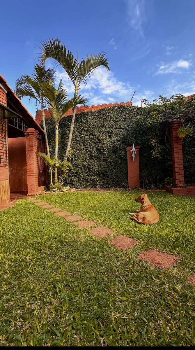 Pats 🐥 tweet media