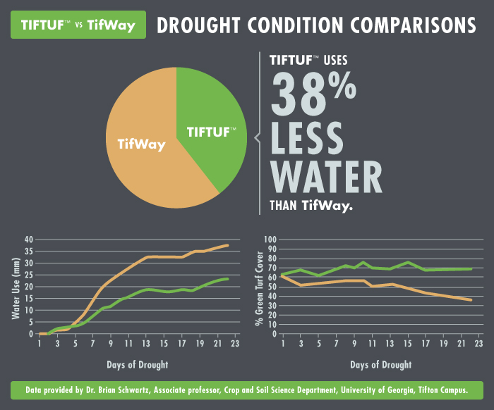 TifTuf has been tested since 1992...and the data showing its superior performance just keeps stacking up! Here's an article with just some of that dominant data. <a href="/UGATifton/">UGA Tifton</a> <a href="/universityofga/">UGA</a> 
tiftufbermudagrass.com/wp-content/upl…