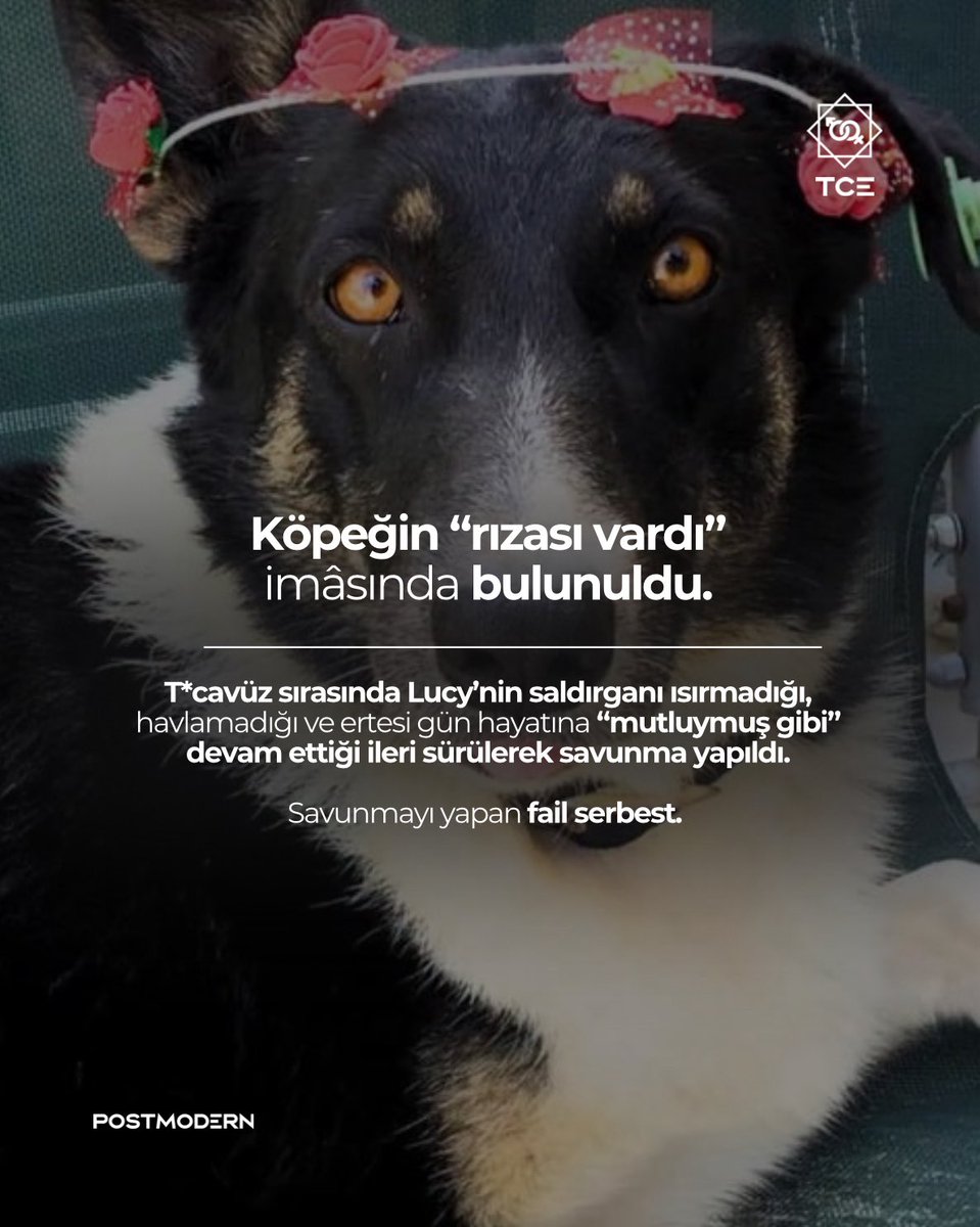 istbassavcisi's tweet image. KÖPEĞİN RIZASI VARDI İMASI • Lucy’i hatırlıyor musunuz? Lucy isimli köpek bahçesinden kaçırıldı, t*cavüze maruz kaldı. Fail ise ilk duruşmada tahliye edildi. Geçen gün yeni duruşması görüldü. 

Failin mahkemedeki savunması insanı çıldırtacak noktadaydı: T*cavüz sırasında…