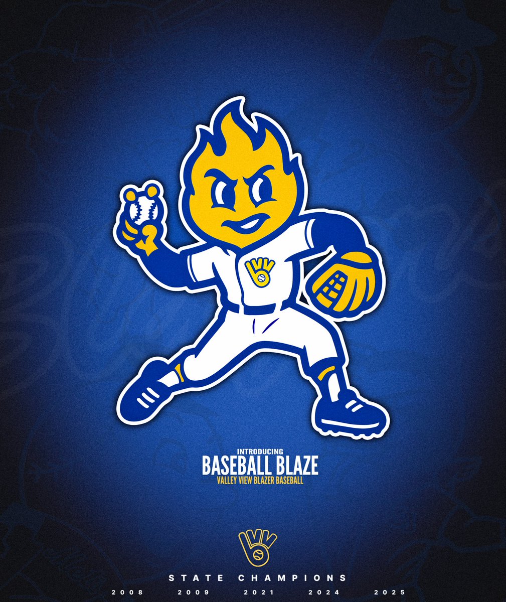 Valley View Blazer Baseball tweet media