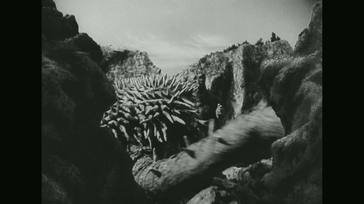 ZCheatwood1's tweet image. #screencaps #Godzilla  godzilla raids again