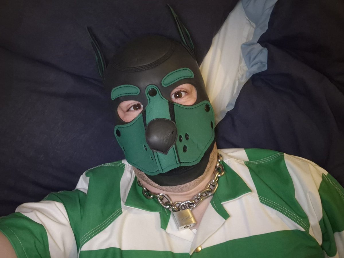 Oopsies! Looks like Nitro has been sent to the Doggy Pound. I did warn the silly hoomans not to mess with Nitro's Cake... 😇