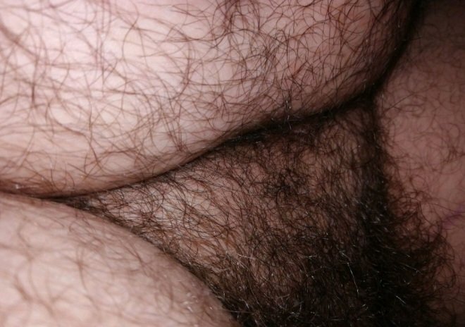 Jason Bear (@bearjason118) on Twitter photo 