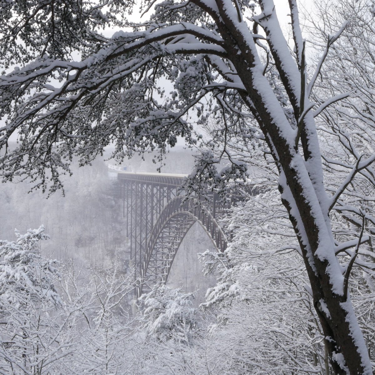 The New River Gorge is beautiful all year long, but we're partial to the 70 degrees, sunshine, peak foliage of the third Saturday in October.