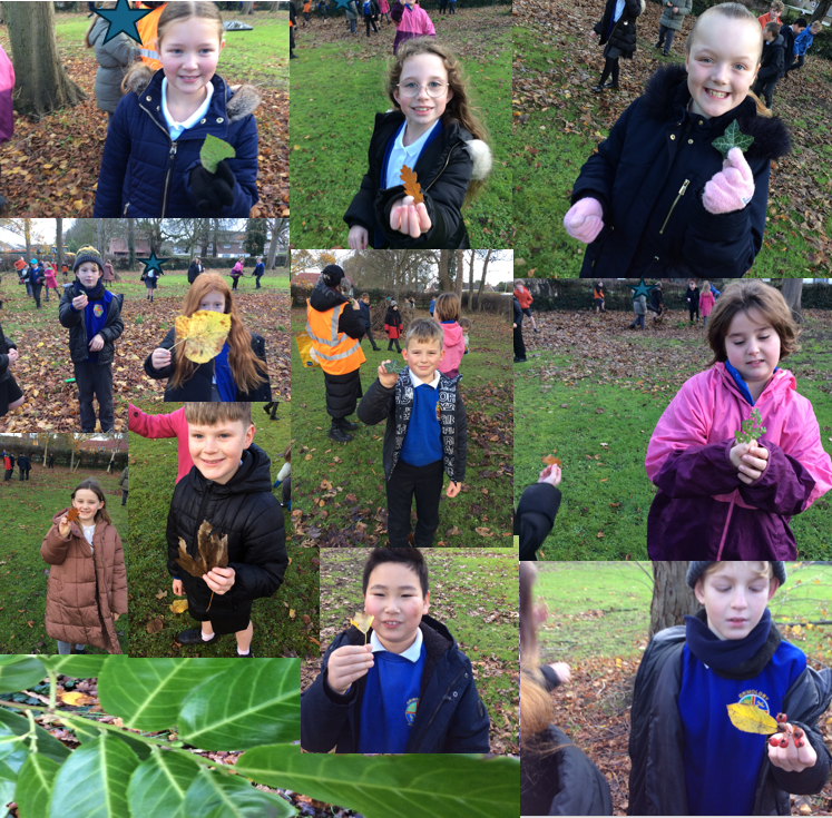 Grimoldby_Y4's tweet photo. This morning, Year 4 went on a nature walk in the local area. We looked at the local woodland, the different trees and leaves that we could see. We have created a survey for you all to complete about the woodland and used classification to sort the leaves.

#unity https://t.co/75wq9eVOJz