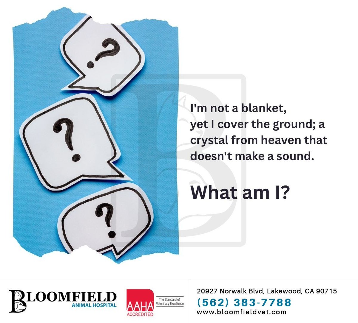 If you look outside your window, you may find the answer. Leave your best guess in the comments below. #riddletime #brainteaser #riddle #bloomfieldanimalhosp #lakewood #CA
