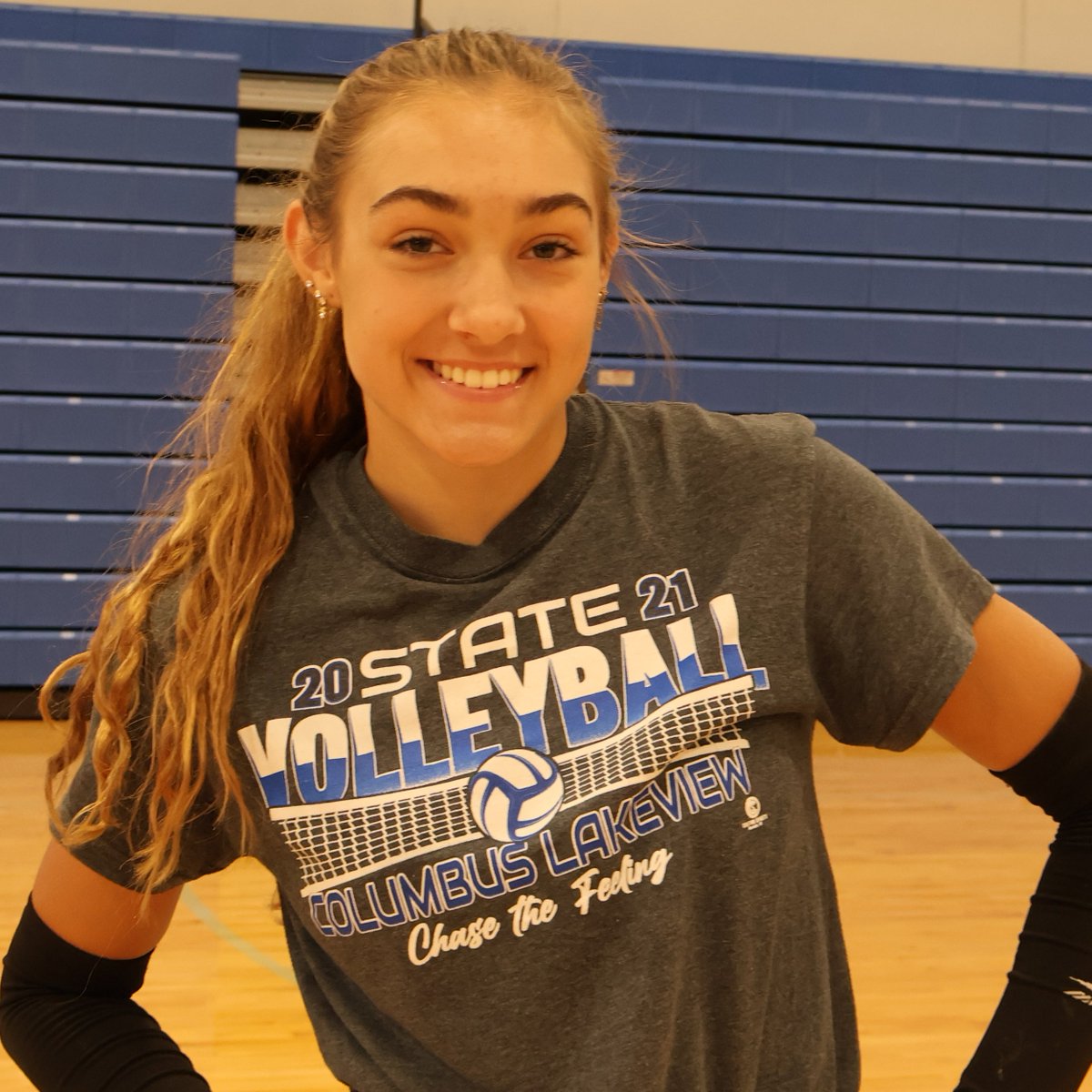 Lakeview Volleyball tweet media