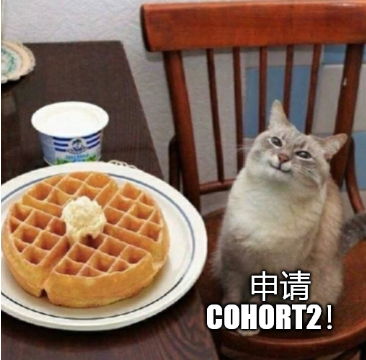 gccofficial tweet media