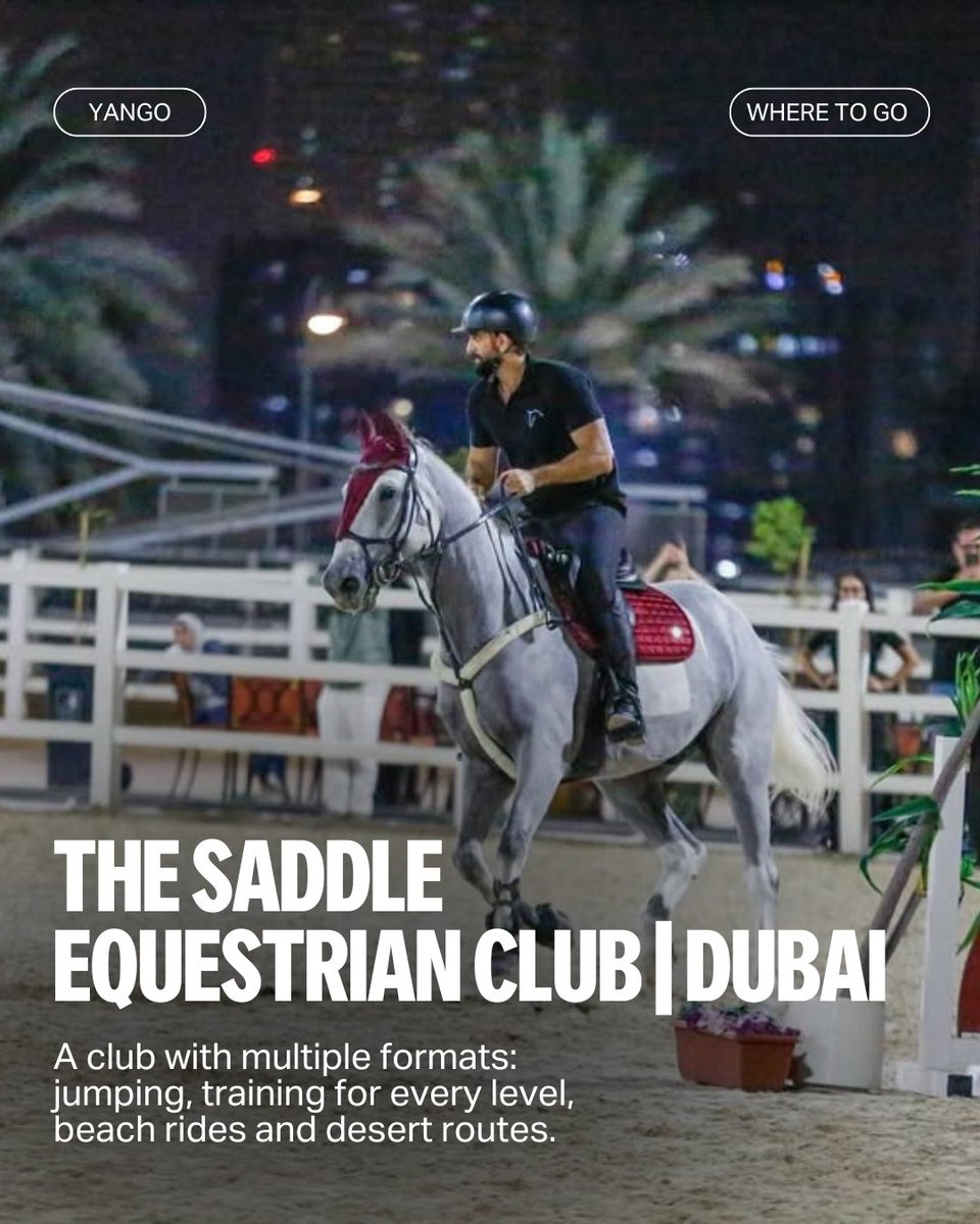 From royal academies and world-class training to coastal rides and quiet therapy sessions, the UAE has a place for every kind of equestrian experience 🐎✨
Save this guide for your next ride ⟶
من المدارس الملكية والتدريب بمستوى عالمي إلى الجولات الساحلية وجلسات العلاج الهادئة،