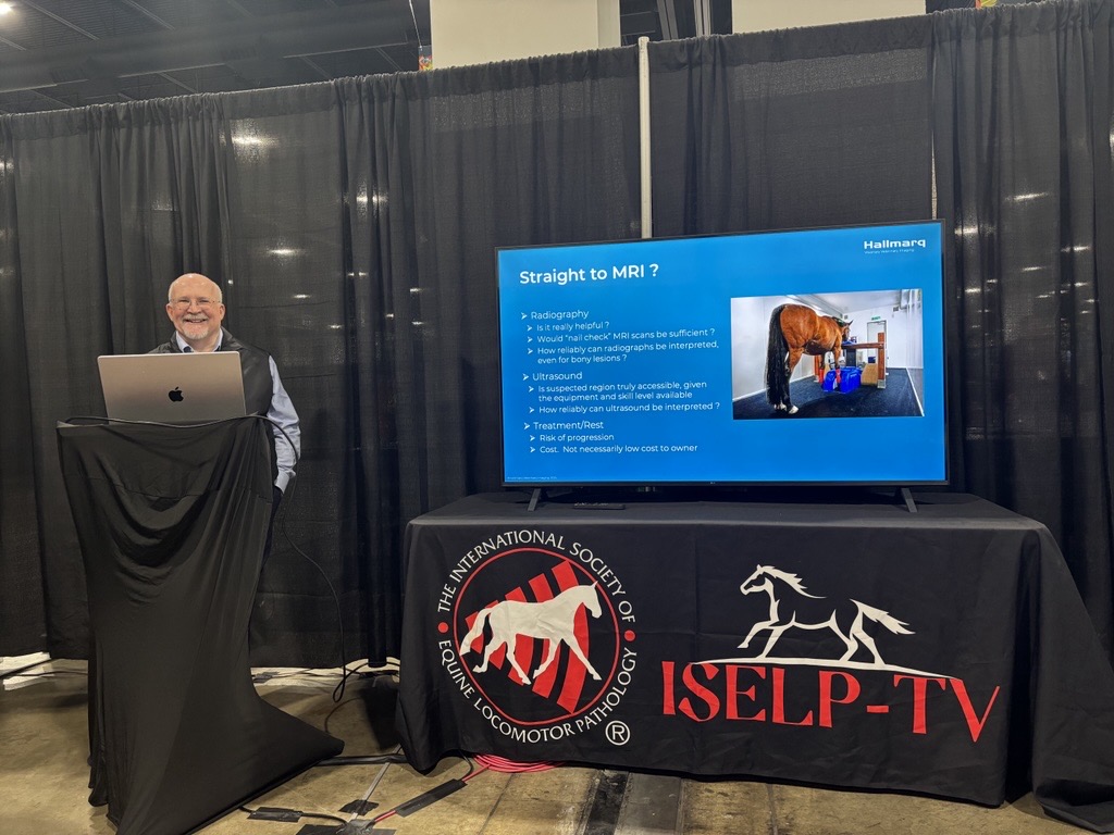 Hallmarq Veterinary Imaging tweet media