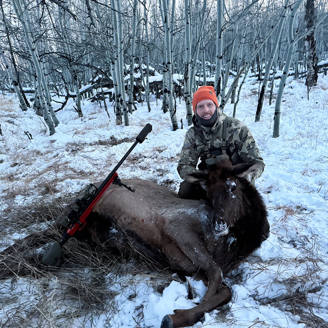 theFEROXGear's tweet photo. Meat in the freezer! #ferox #feroxgear #elk #elkhunting https://t.co/YKeNyKUDvt