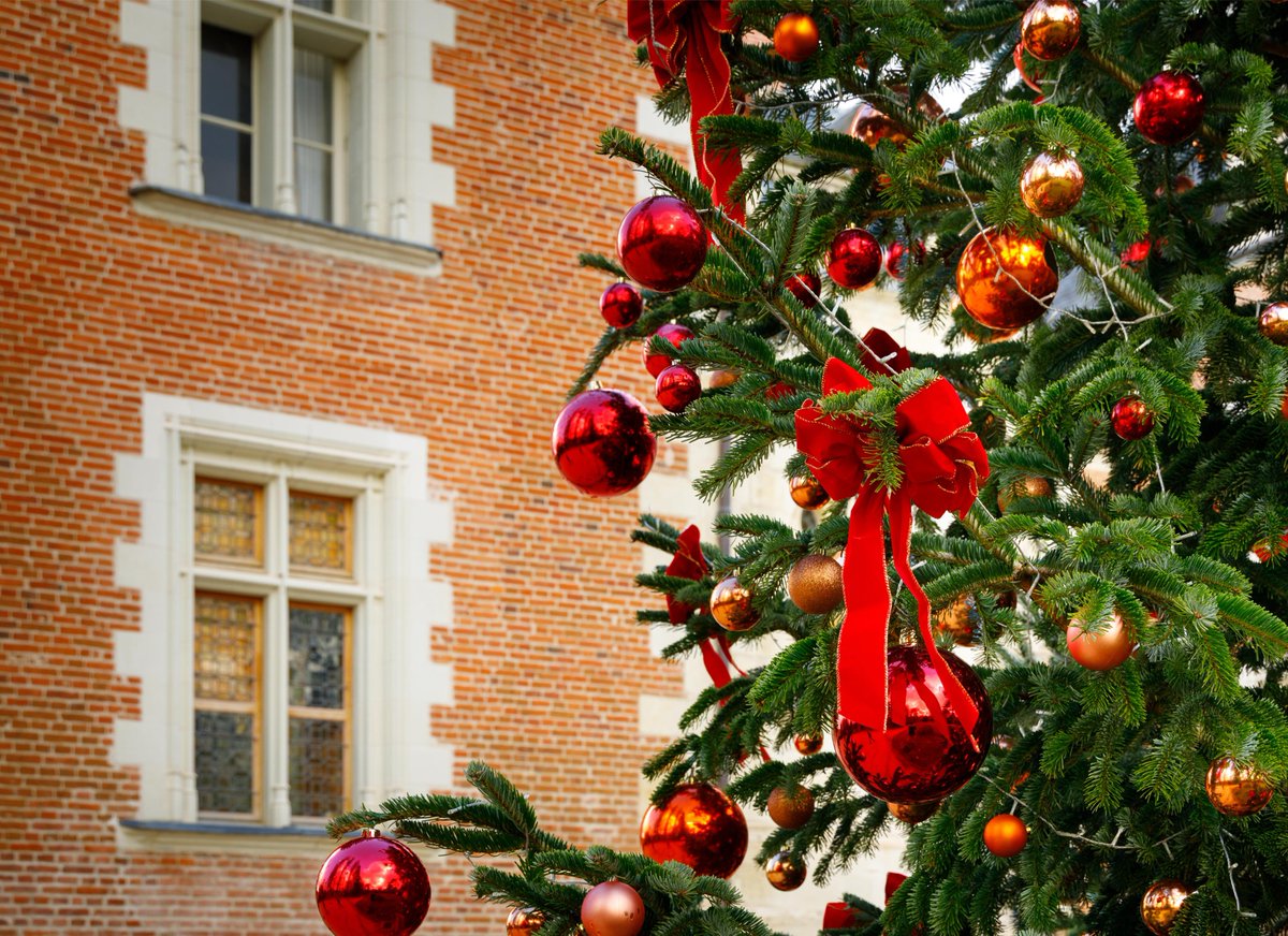 ✨ 𝑫𝒆́𝒄𝒆𝒎𝒃𝒓𝒆 au #ClosLucé : 𝐅𝐞́𝐞𝐫𝐢𝐞𝐬 𝐝𝐞 𝐍𝐨𝐞̈𝐥, ateliers créatifs en famille, chaleur au cœur. On vous attend au château ! 😍

⏳ 𝗢𝘂𝘃𝗲𝗿𝘁 𝗱𝗲 𝟵𝗵 𝗮̀ 𝟭𝟴𝗵
🎟️ Prenez vos billets
🌐 vinci-closluce.com
📸 Léonard de Serres