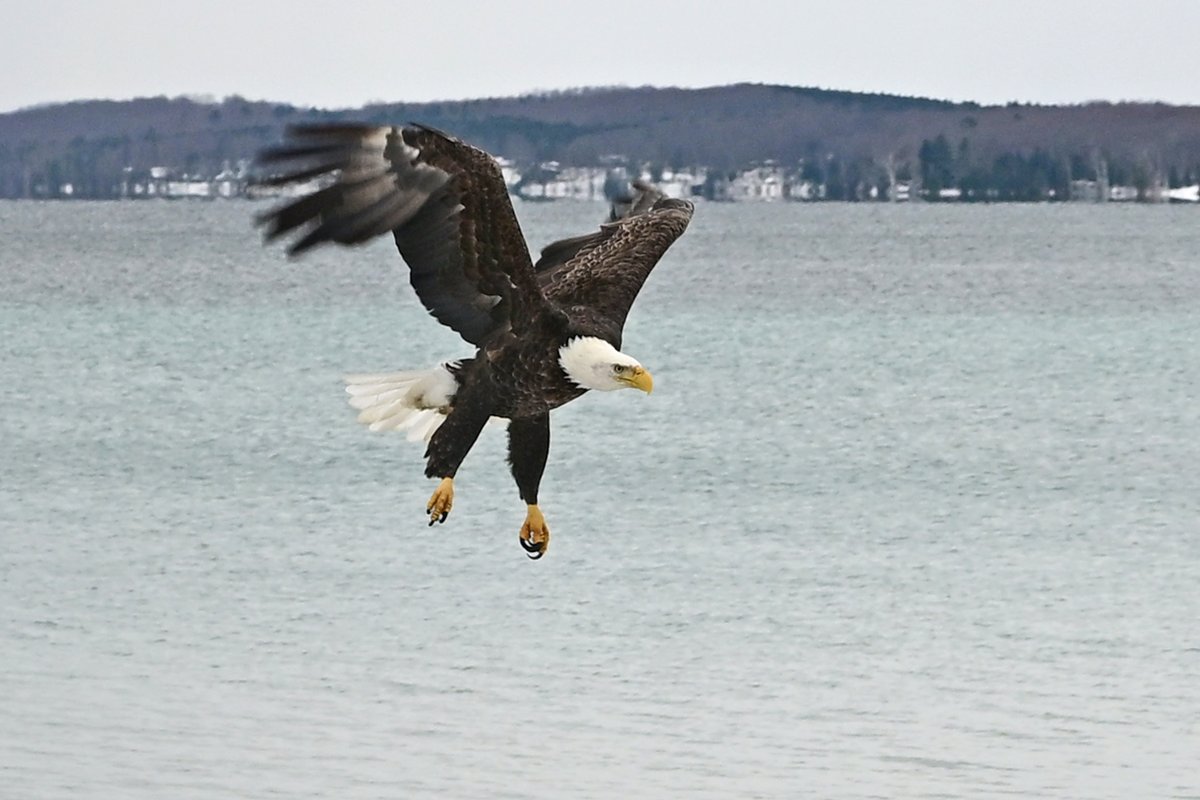 UpNorthLive News tweet media