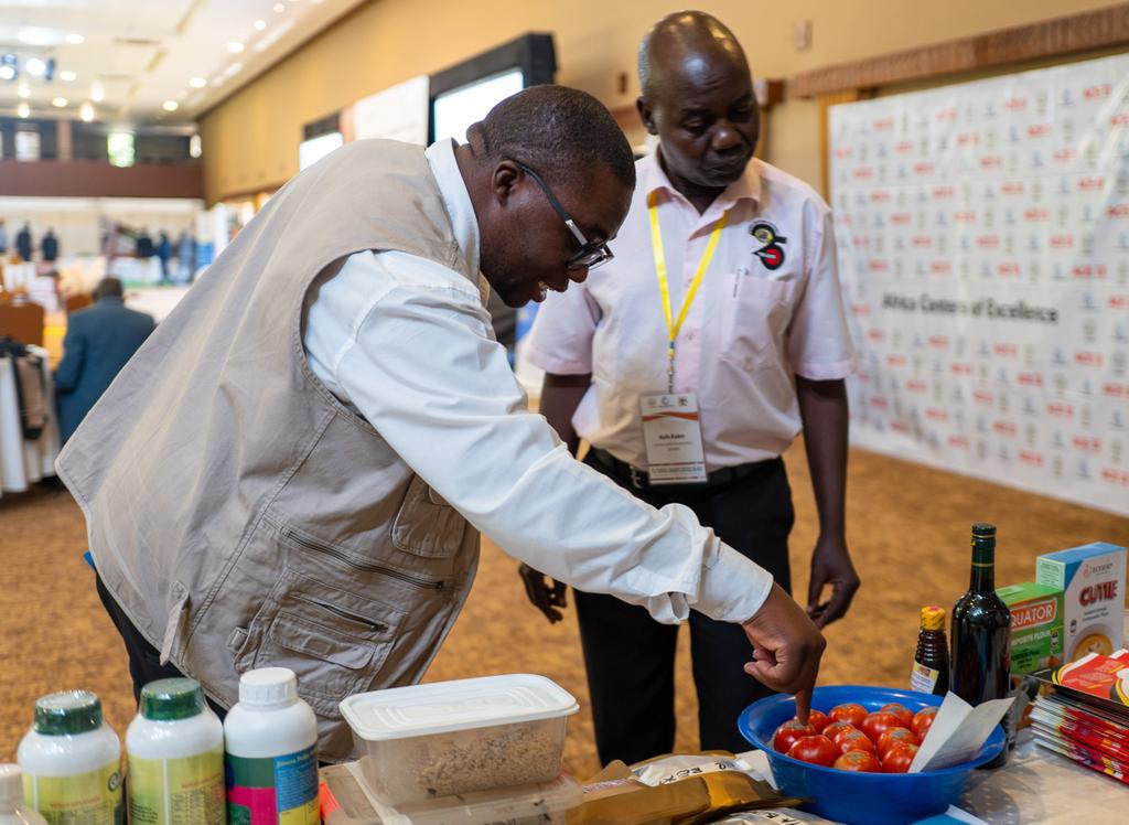 umu_nkozi's tweet photo. A strong Day 1 at the ACE II Meeting in Munyonyo comes to a close.

@umu_nkozi contributed to conversations on sustainability, innovation, and collaboration in higher education, proudly standing with regional partners shaping the future.

 #ACEII #SmartAgriculture #UMUNkozi https://t.co/RFP2jUxrmU