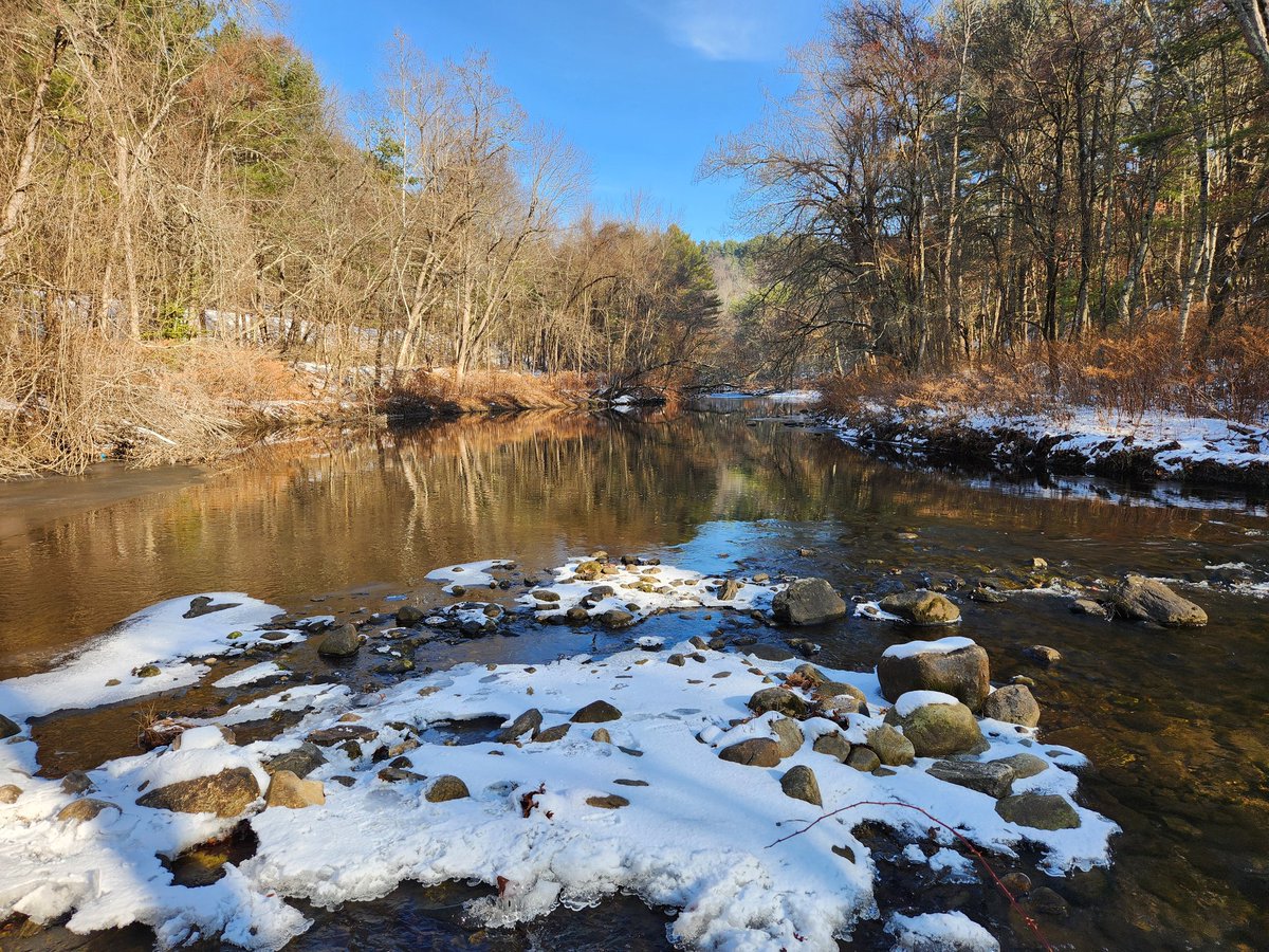 David Webb tweet media