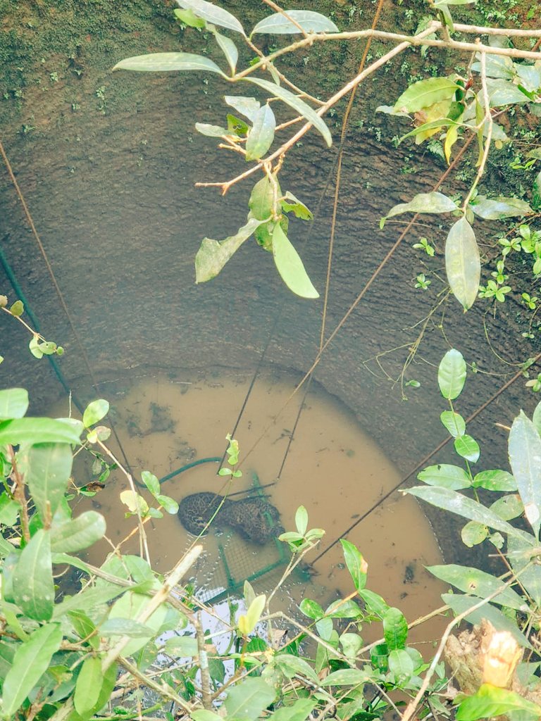 Goa Forest Department tweet media