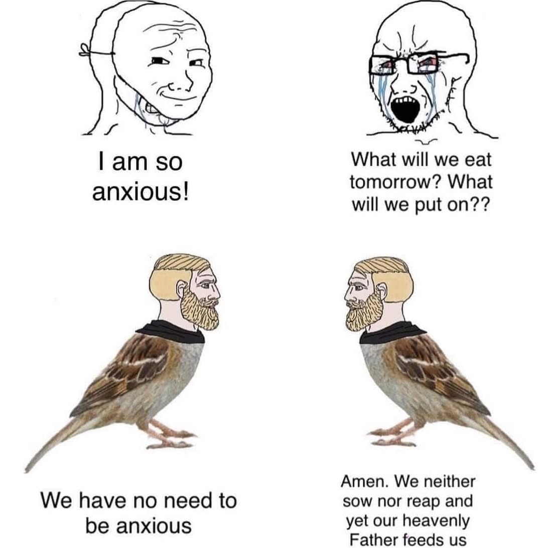 zk_lmao's tweet image. Under 69B Market Cap, CHAD is still cheep.