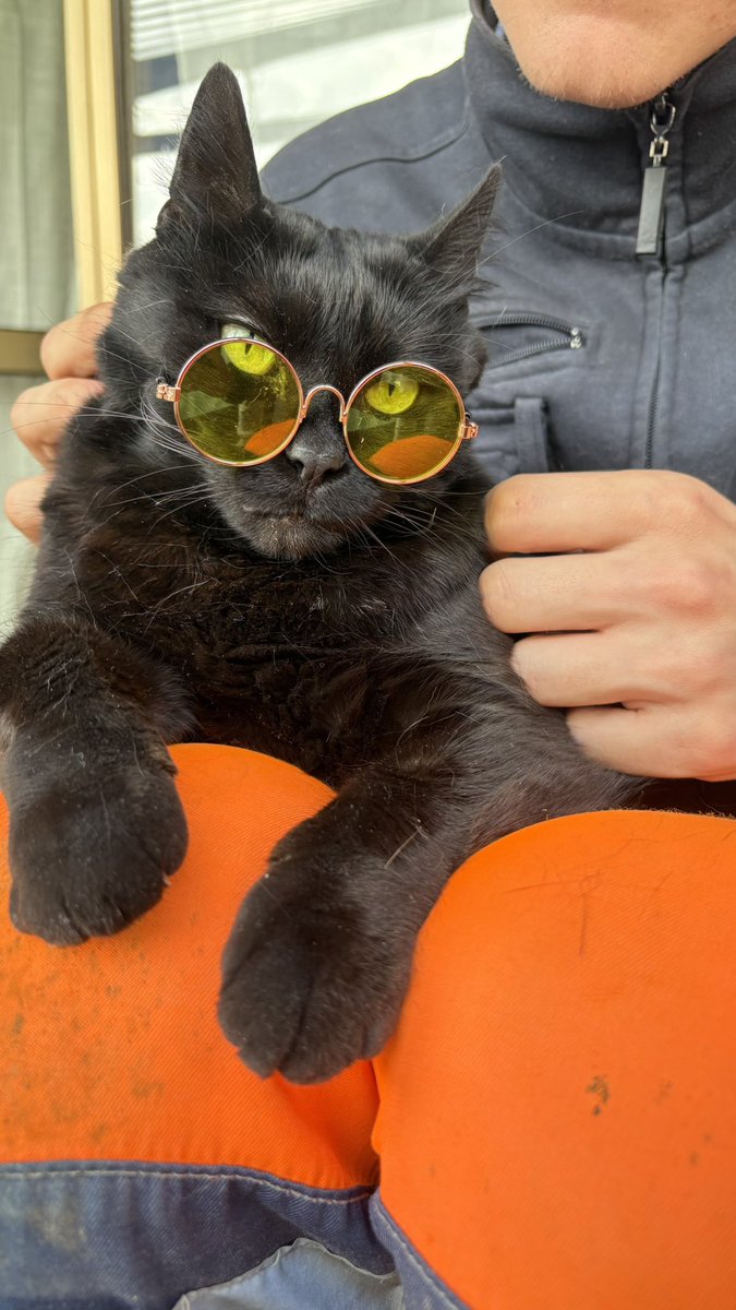 Love ❤️🐈‍⬛