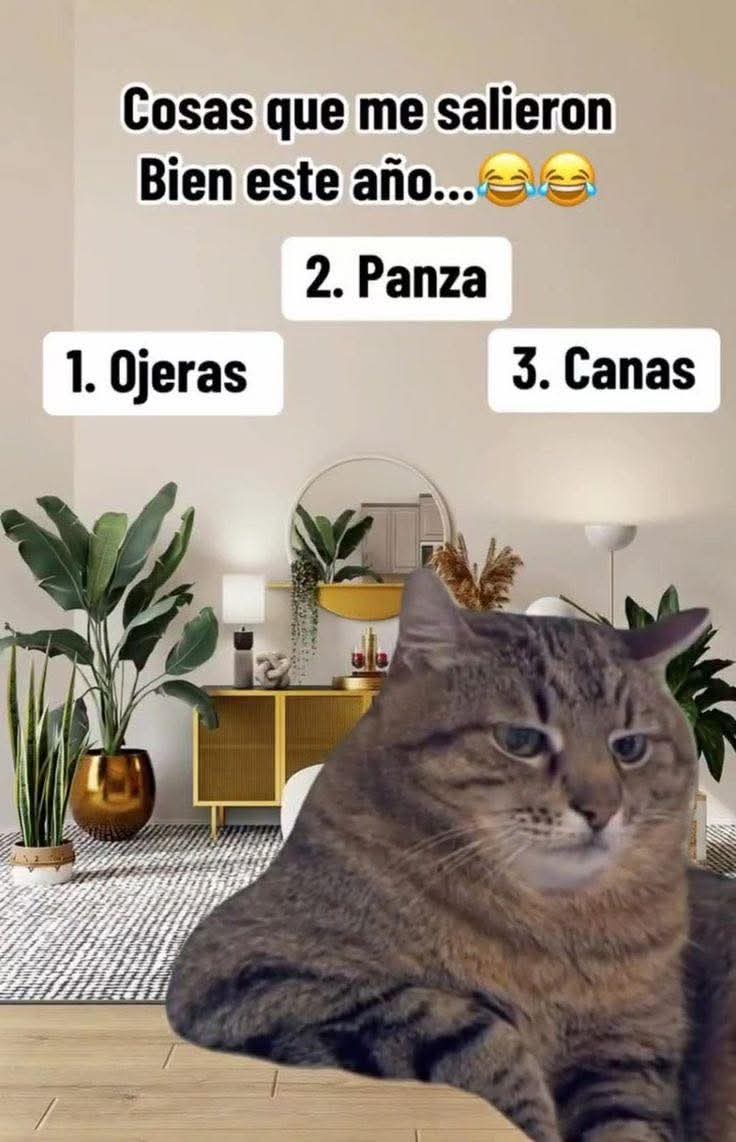 💫La de los Memes SV💫 (@the_memegirlsv) on Twitter photo 