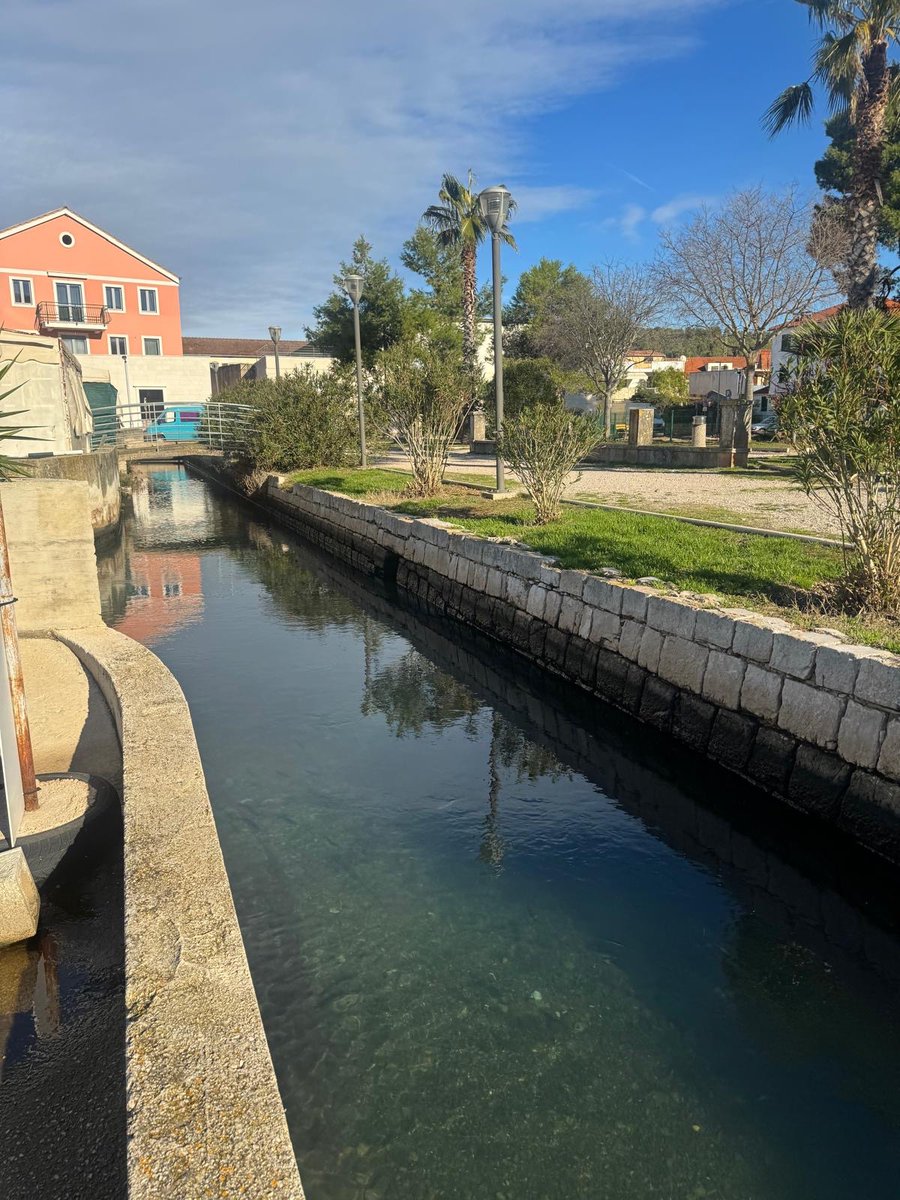 Marija Vučković tweet media